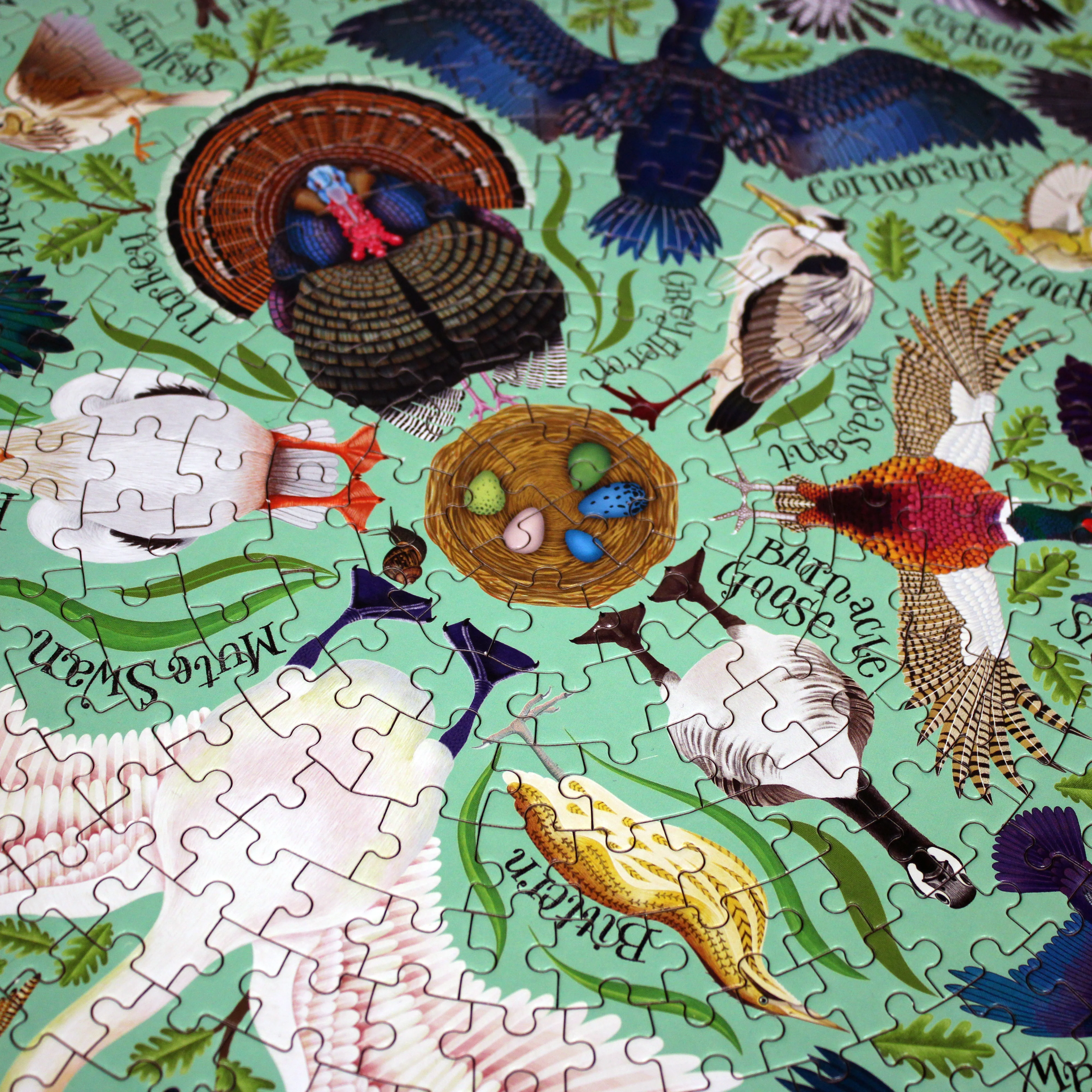 Shakespeare's Birds: A 1000-Piece Jigsaw Puzzle - Image 5
