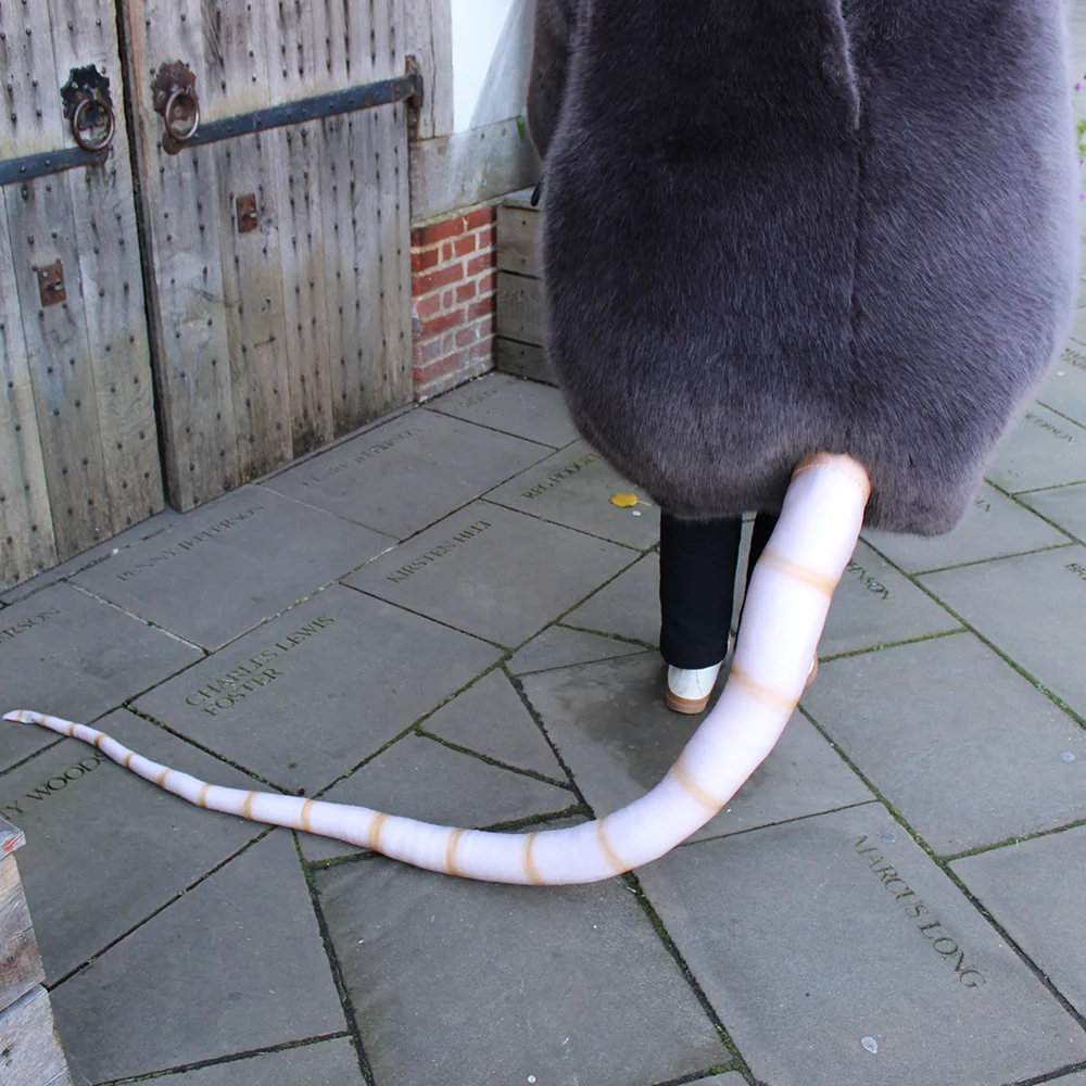 The Taming of the Shrew - Shrew Costume 2024 - Image 4